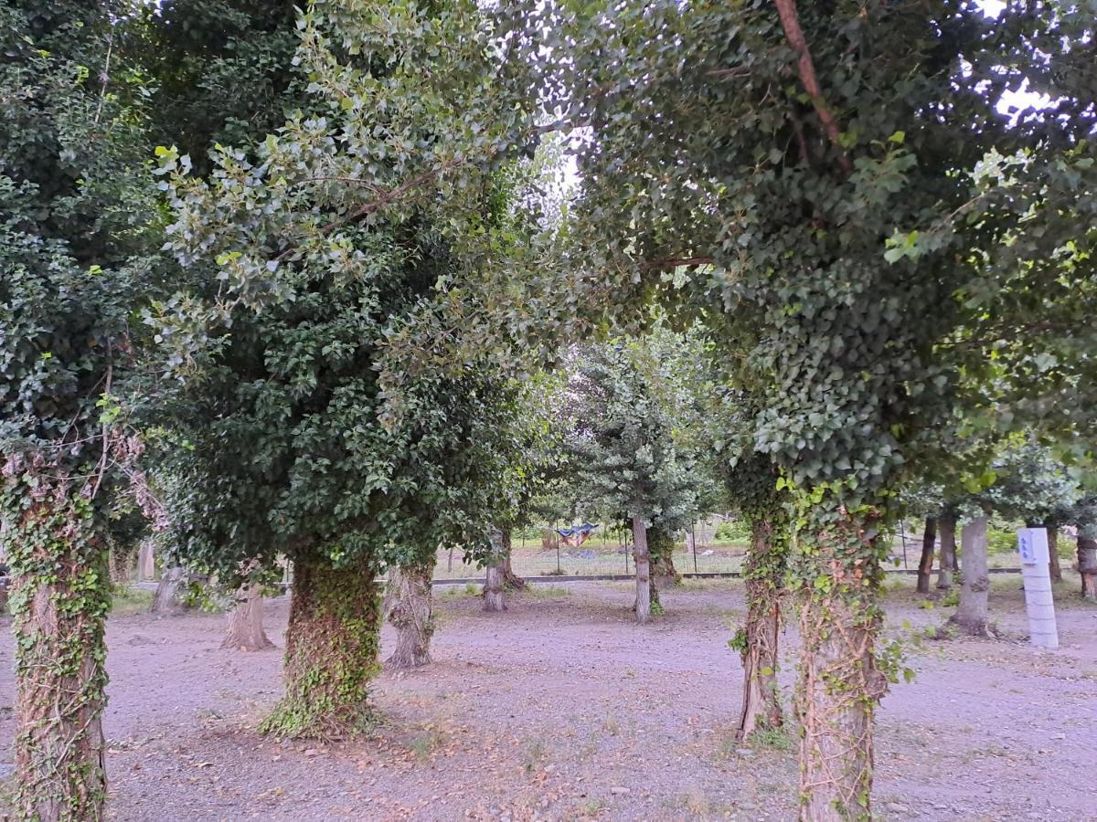 Camping Valle Del Andarax Fondón Esterno foto